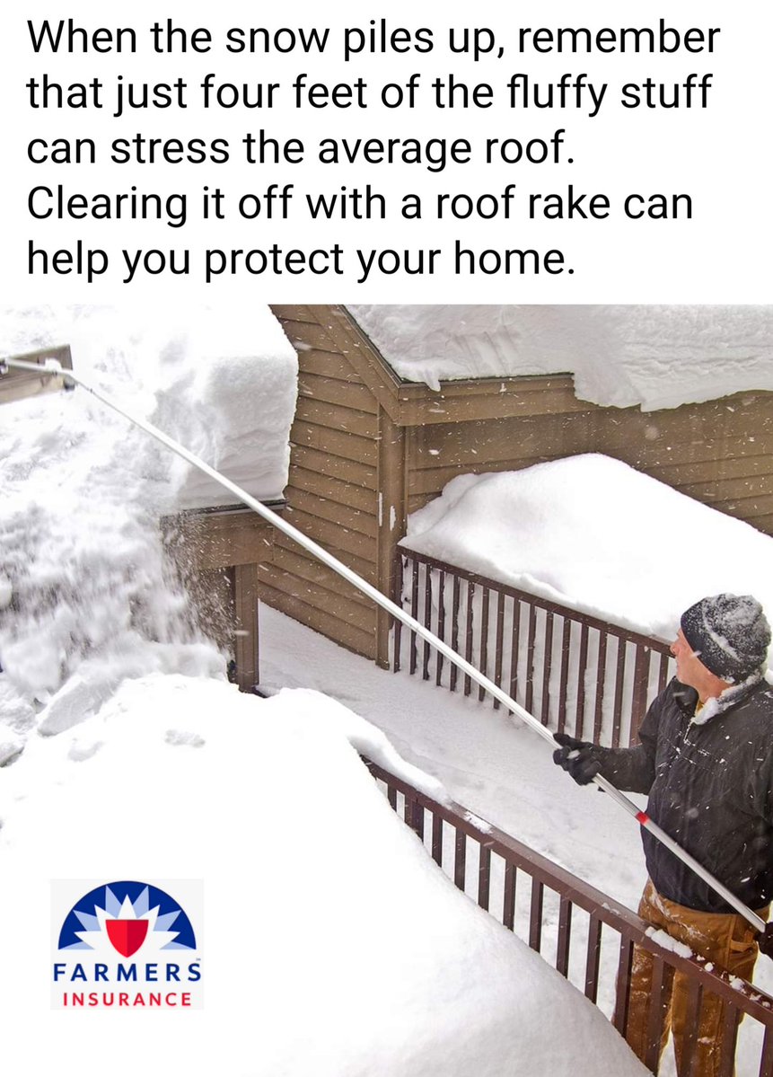 Tim Loonan tweet media