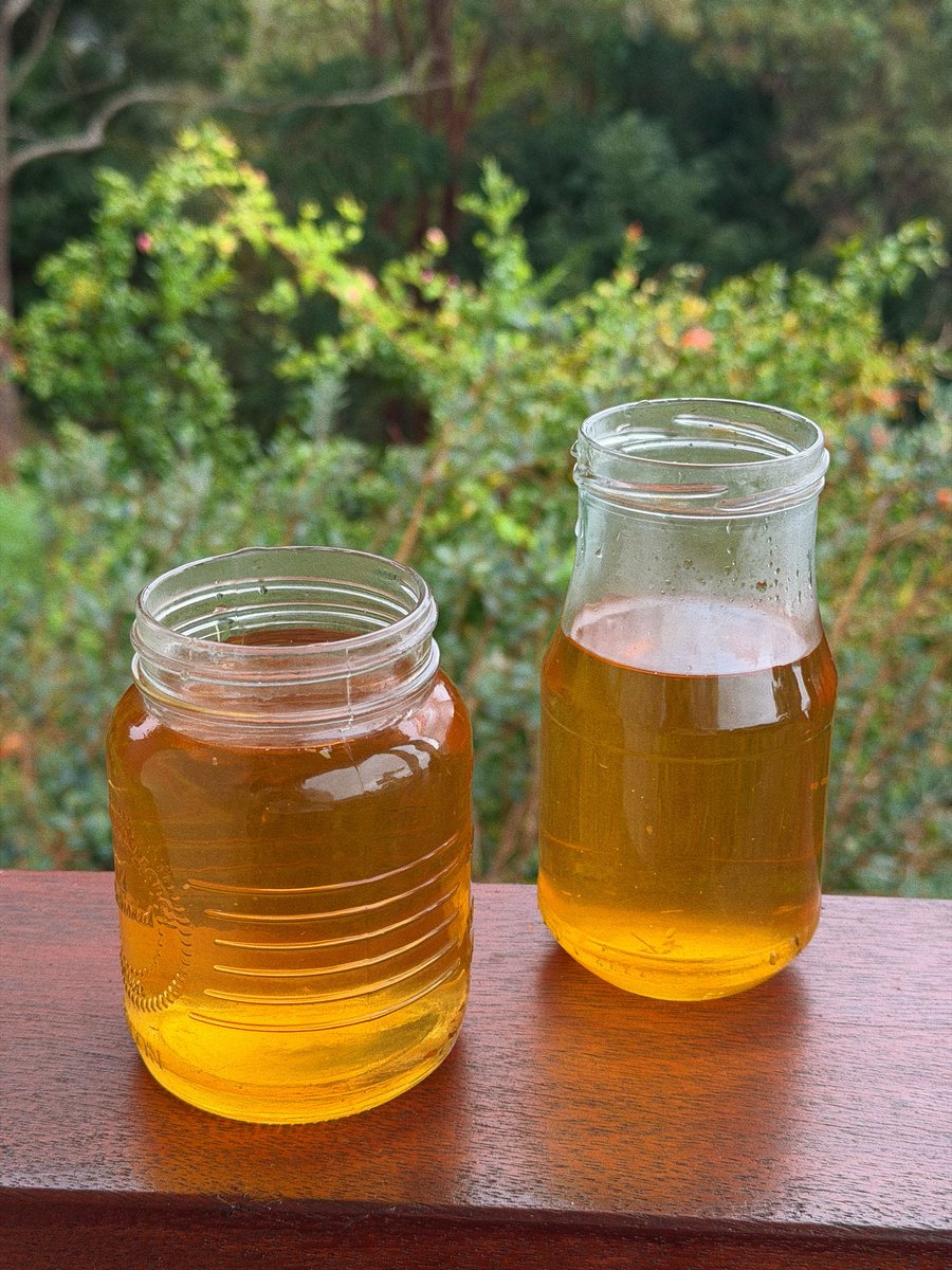 ⚡️🌞 Sol Brah 🌞🐬 tweet media