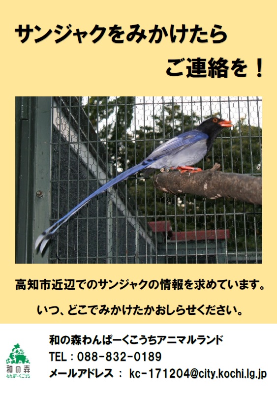 和の森わんぱーくこうちアニマルランド［公式］ tweet media