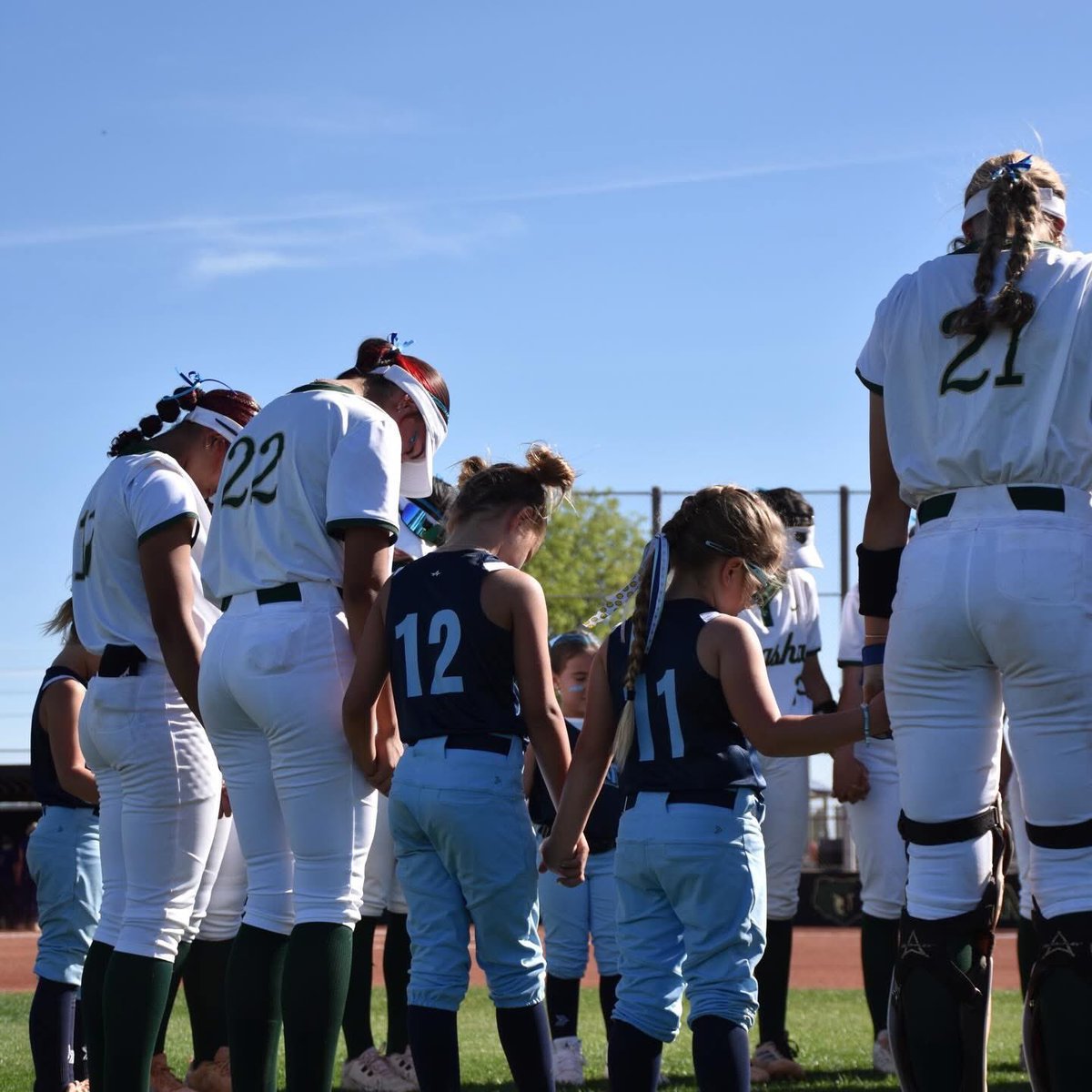 Basha Bears Softball tweet media