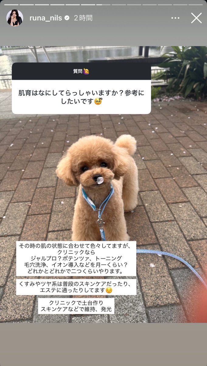 rakkkkkkkoo's tweet photo. 無加工でも肌が綺麗すぎるるなちゃんの肌管理事情教えてくれてる😭😭😭ありがた😭😭😭😭 https://t.co/1qo5panLkv