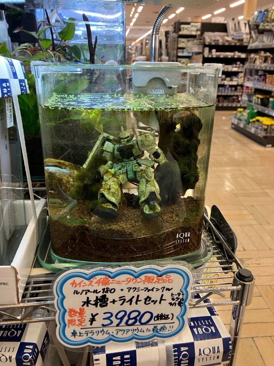 完璧なディスプレイの仕方じゃね一か！