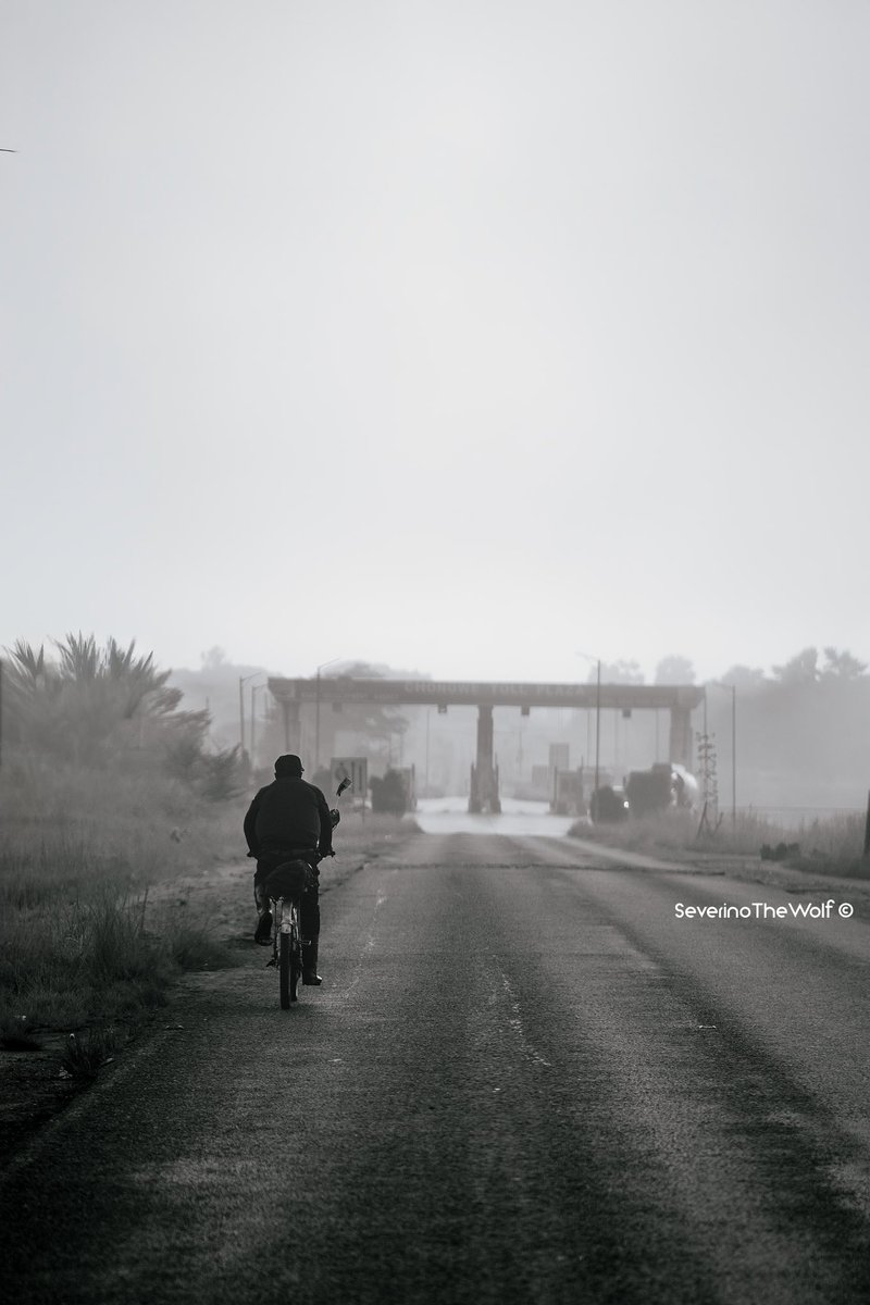 SeverinoTheWolf's tweet photo. Chongwe Misty Morning 

Now live on my instagram. 

https://t.co/YGksJQGkg7 https://t.co/FD9epEE8xp