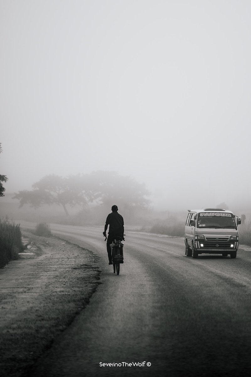 SeverinoTheWolf's tweet photo. Chongwe Misty Morning 

Now live on my instagram. 

https://t.co/YGksJQGkg7 https://t.co/FD9epEE8xp