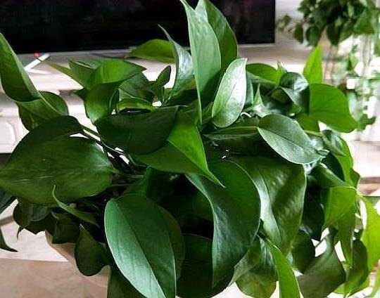 Резник Алёна tweet media