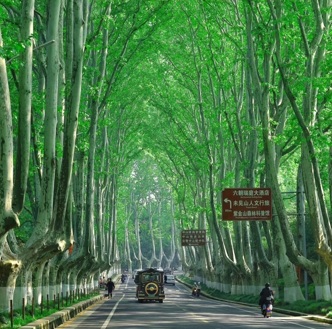 Najath Raffeek tweet media