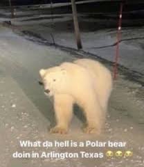 BlazeFire1 tweet media