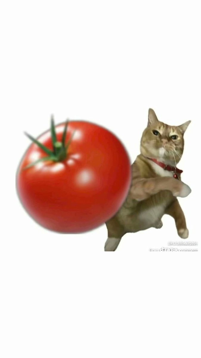 Sortarry🐂💀 tweet media