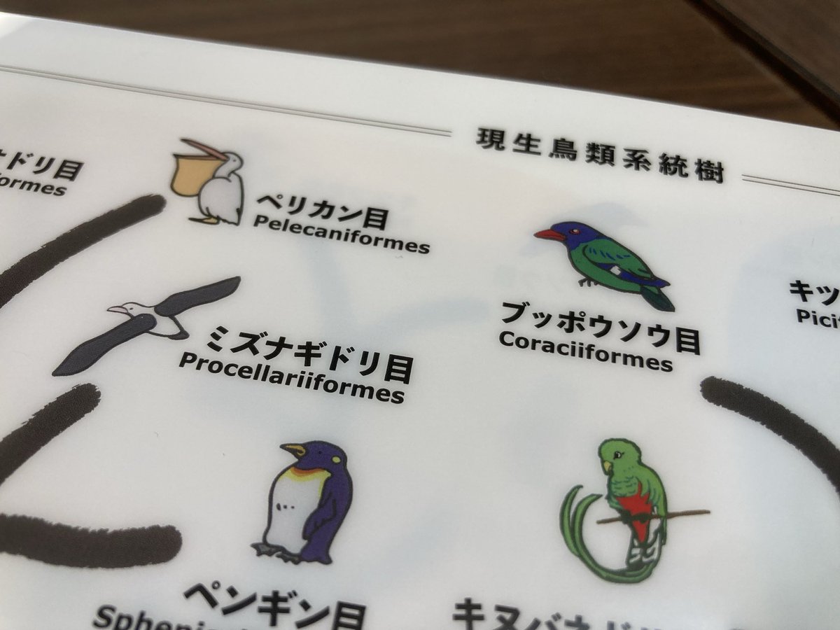 ニシザワマキコ🦴 tweet media