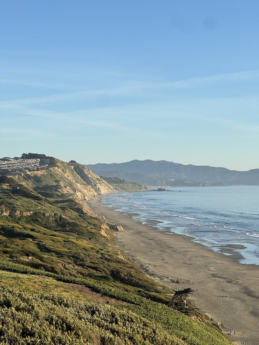 Evan Reilly tweet media