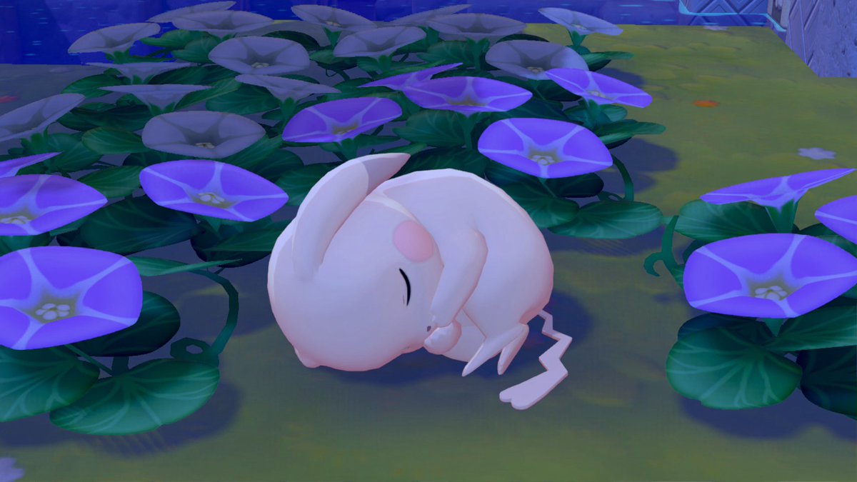 kota ‎ ݁˖༘⋆𐦍⊹₊ tweet media