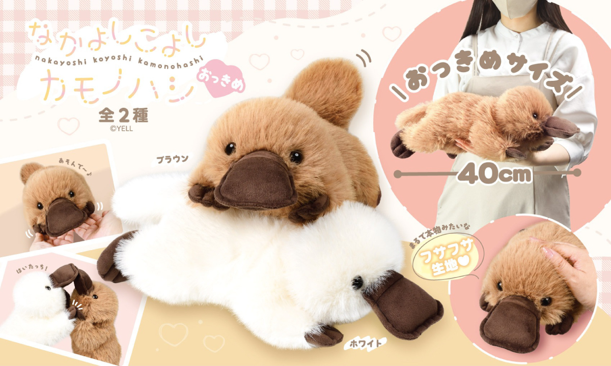 💓再販のお知らせ💓
『なかよしこよしカモノハシ おっきめ』

カモノハシ界隈のみなさんへ❣️
人気だったこちらのカモノハシちゃんが再販です✨

毛並みが本物のカモノハシみたいで可愛いです😍
是非お迎えしてあげてください🥰

#クレーンゲーム