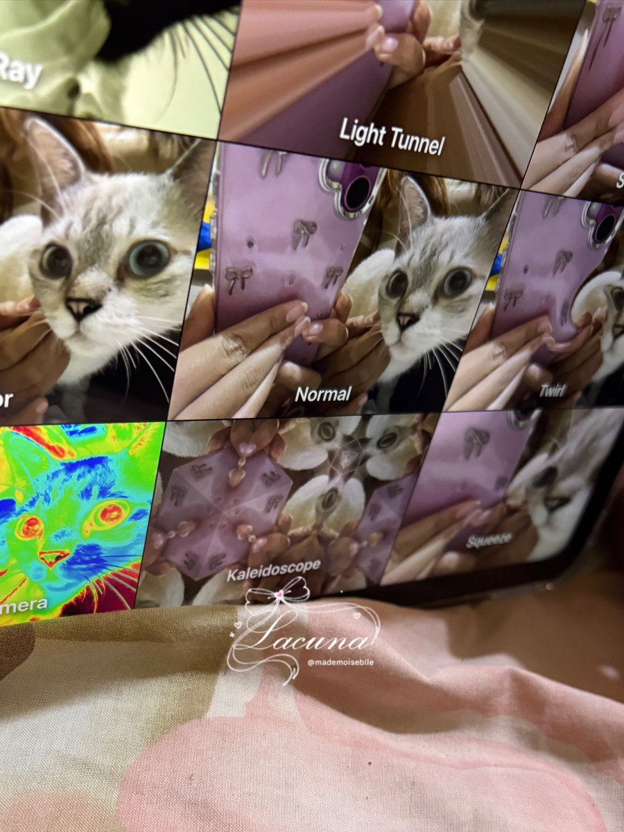lacuna ☾⋆。 tweet media