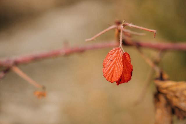 Reginald Bennett tweet media