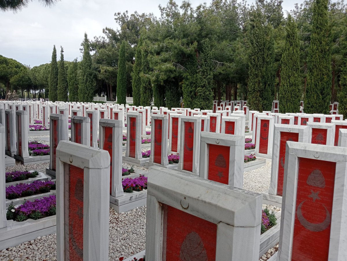 errorverdim tweet media