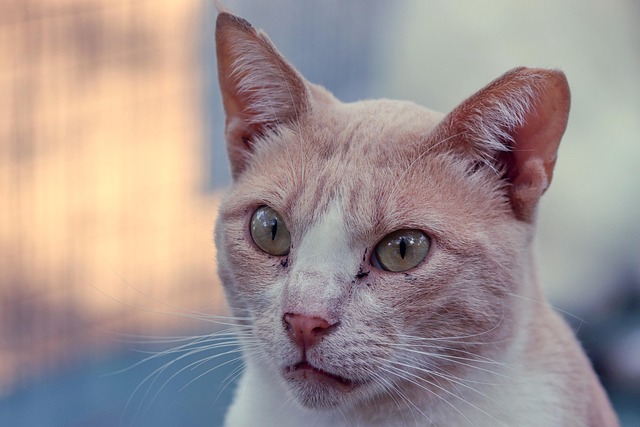 Nikki Bender tweet media