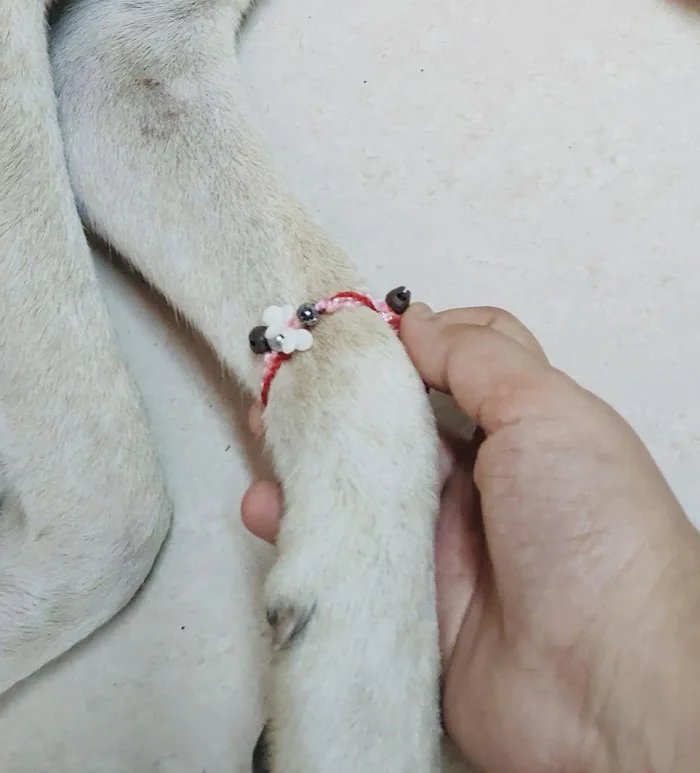 A Great American! 🇺🇸 & 🔥 tweet media