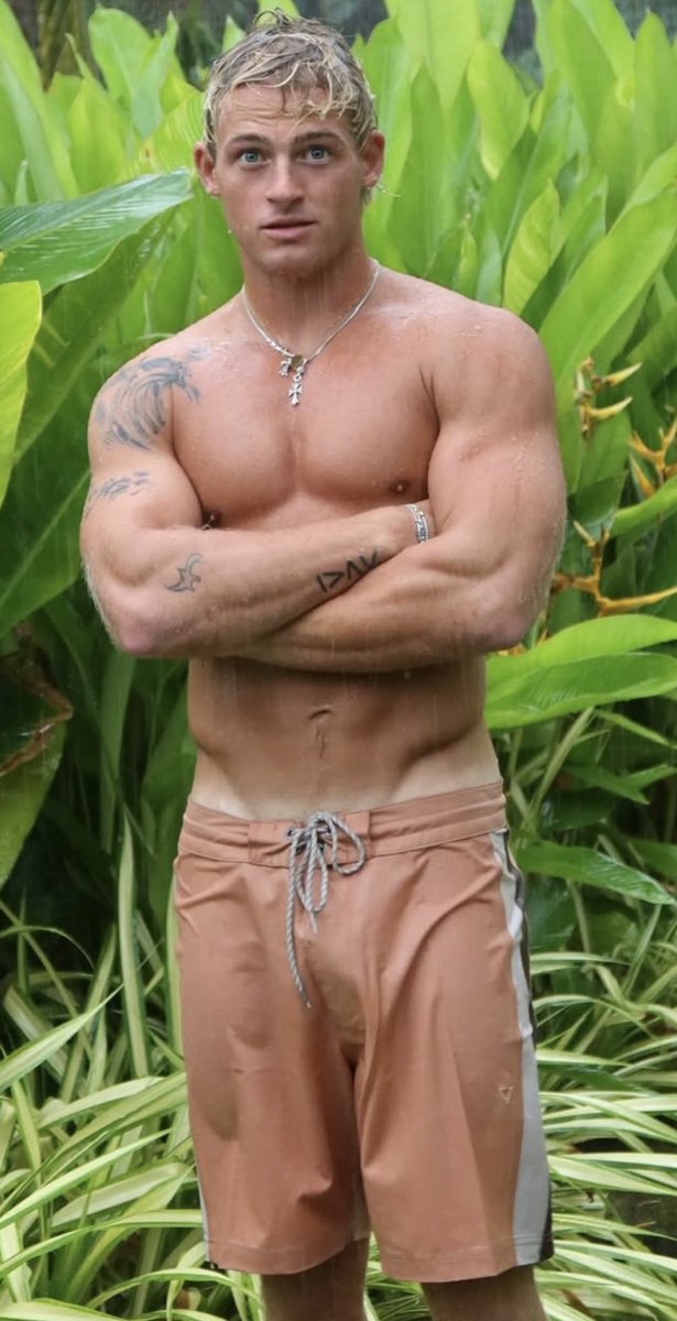 bro vault tweet media