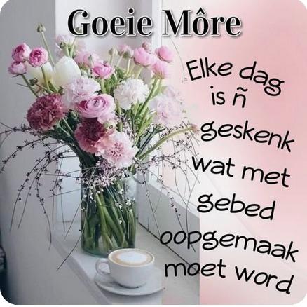 Frans (@fransvfrans) on Twitter photo 