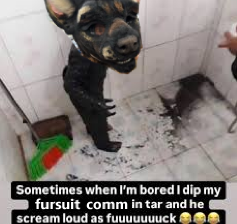 Mutt Stain ☠ ⋆ ₊˚ tweet media