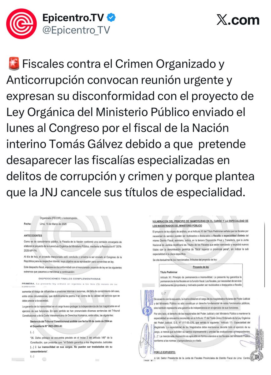 SandraCastroC tweet media