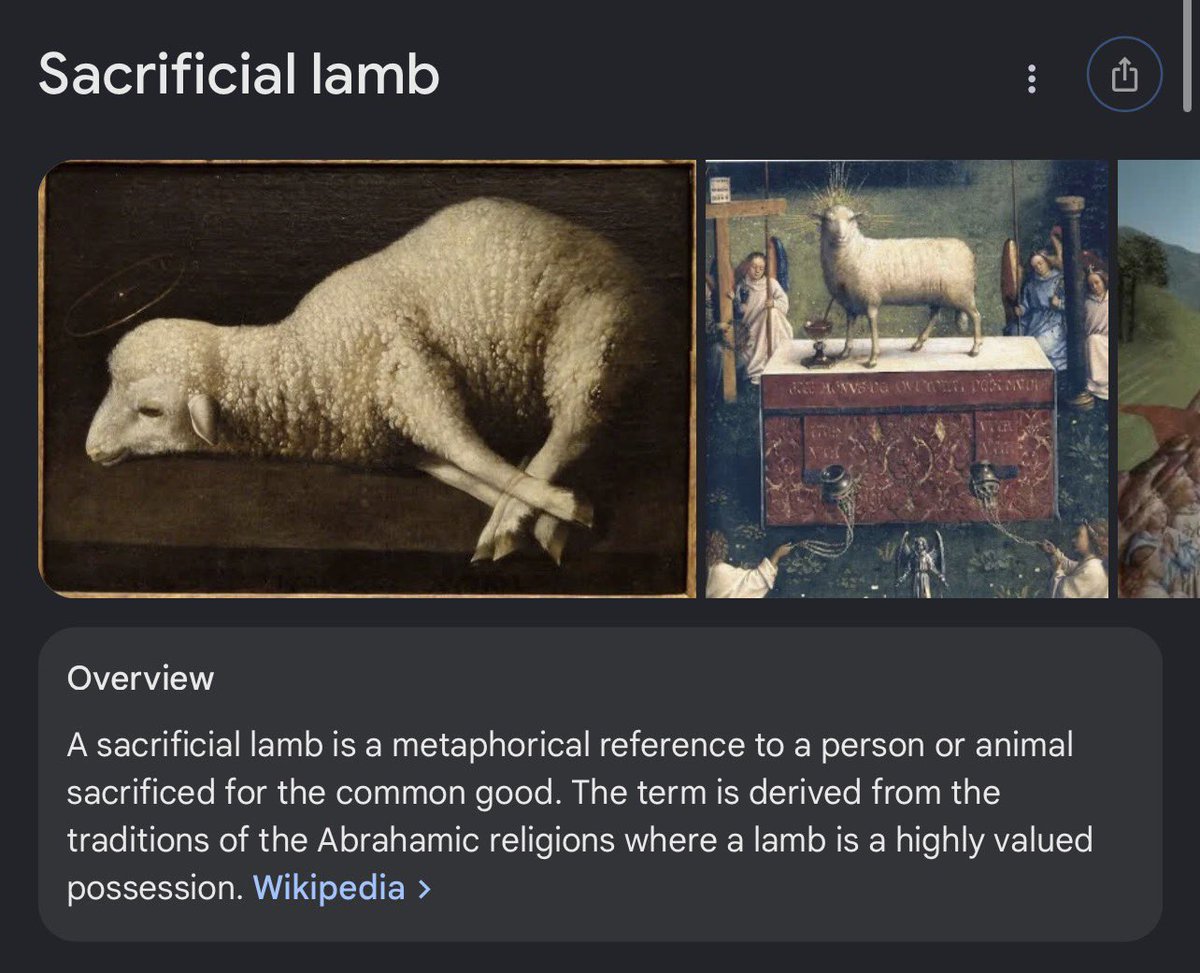 🛸💫Lunora tweet media