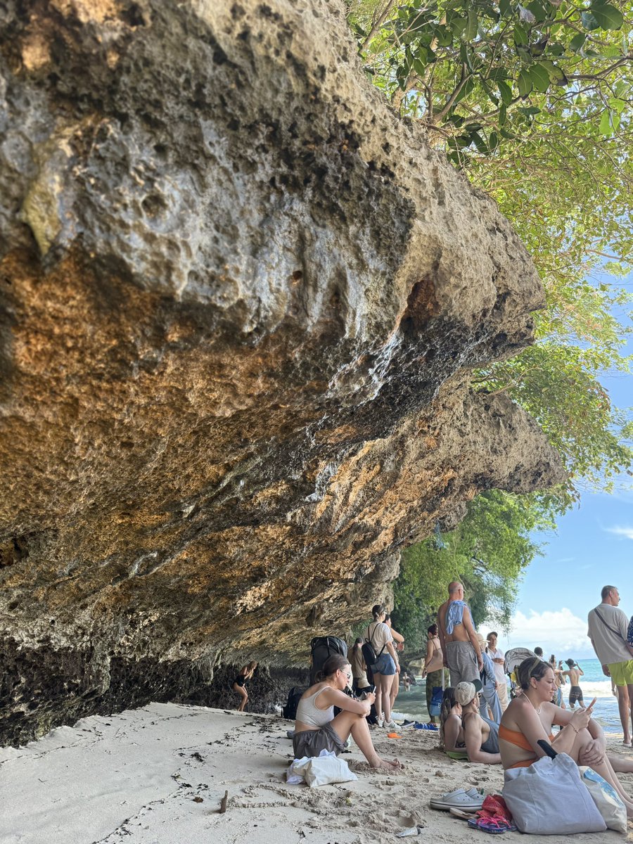 Botslim29 tweet media