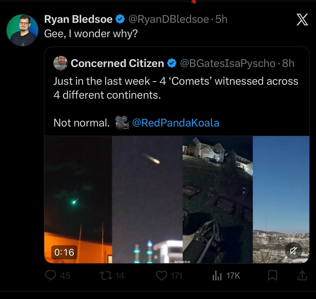 Red Panda Koala tweet media