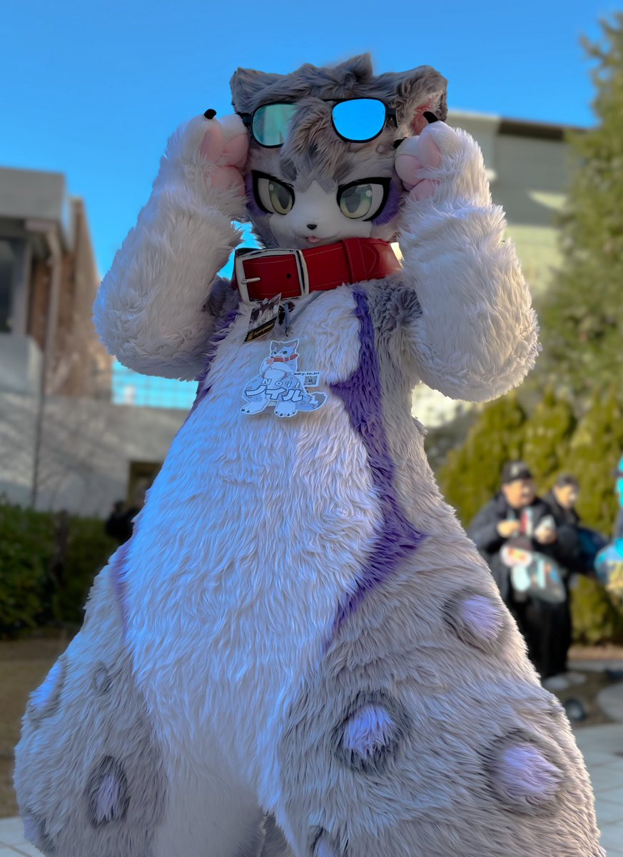 5omaSesame's tweet photo. #Jmof2026 #Jmof https://t.co/vVdTqktasD