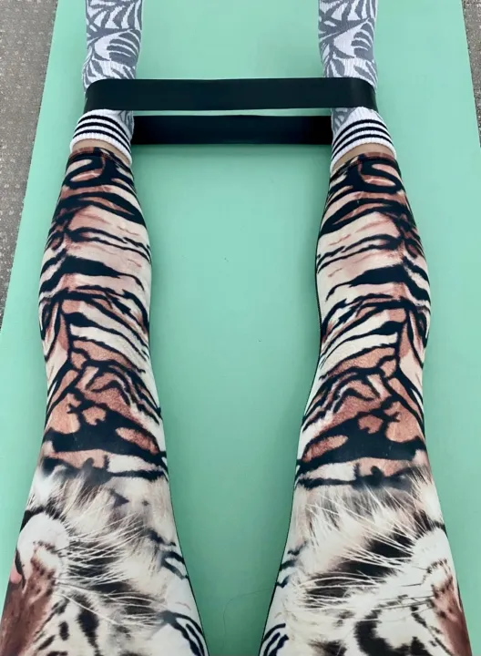 tulip ✨ tweet media