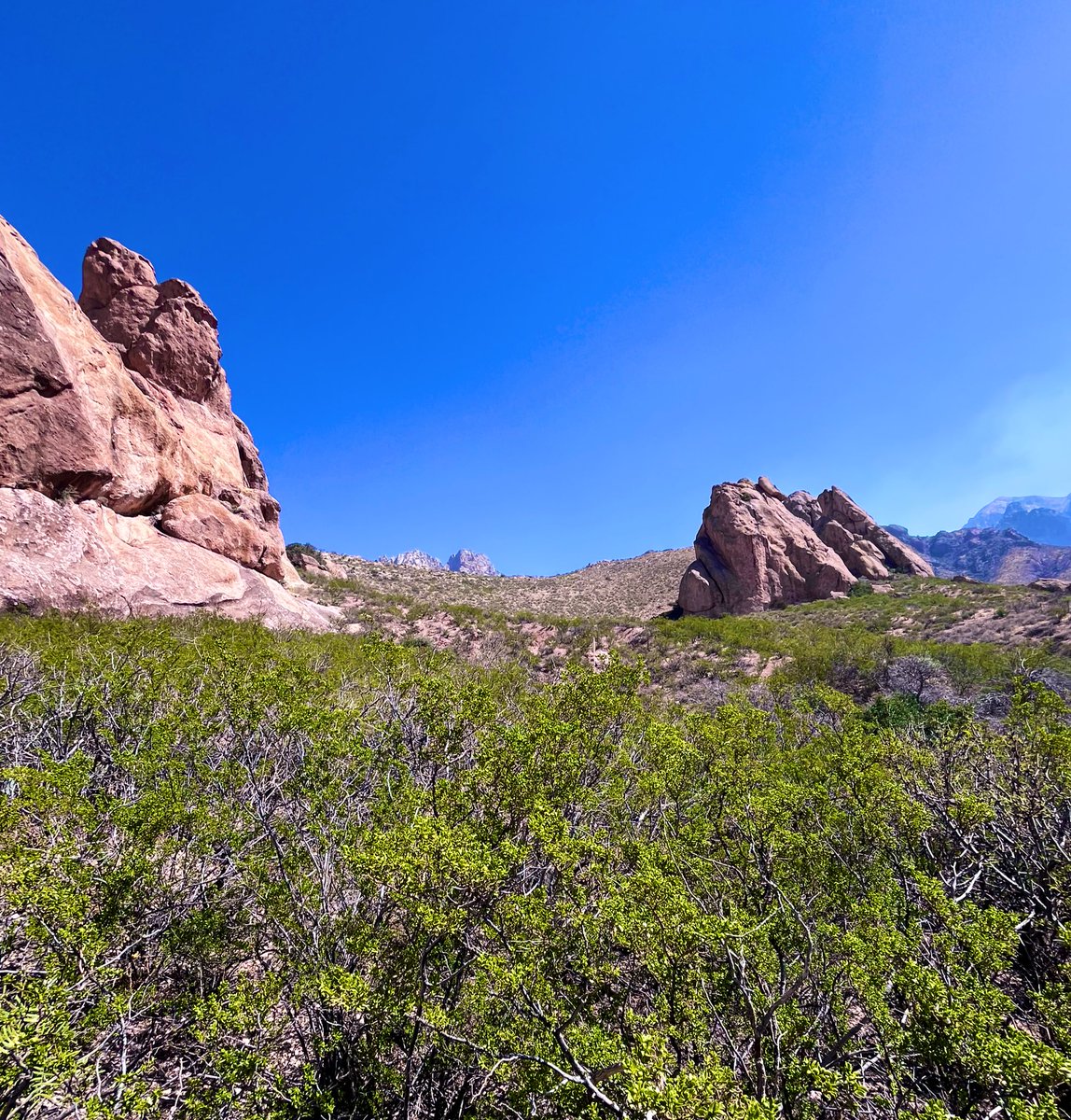 Avenly13's tweet photo. New Mexico https://t.co/0QSnriN32B