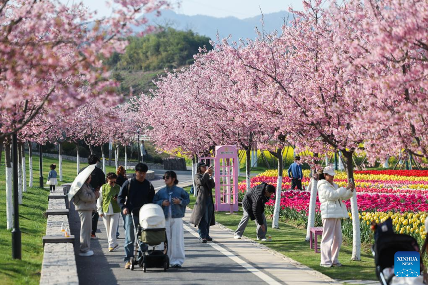 ChineseEmbinAus's tweet image. Spring scenery in China's Zhejiang #SpringInChina