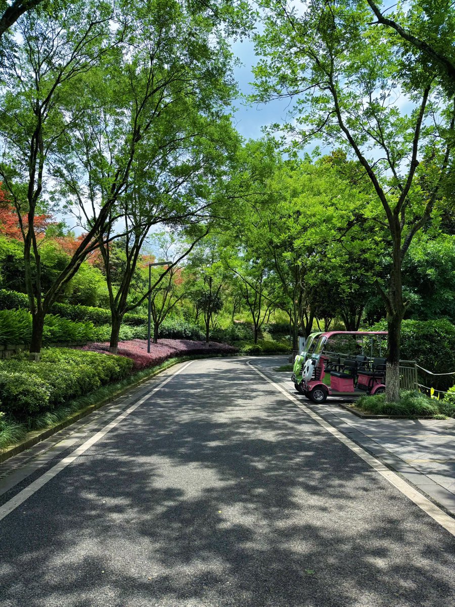 მ ო ყ Γ υ l l tweet media