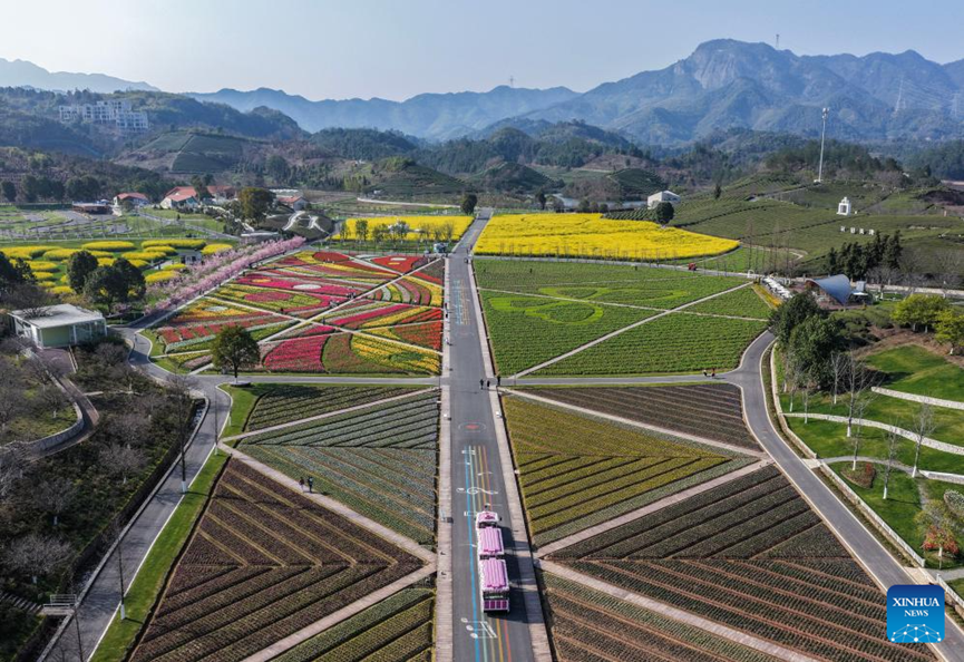 ChineseEmbinAus's tweet image. Spring scenery in China's Zhejiang #SpringInChina