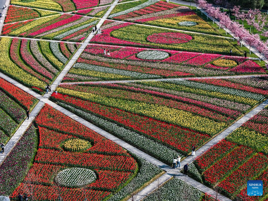 ChineseEmbinAus's tweet image. Spring scenery in China's Zhejiang #SpringInChina