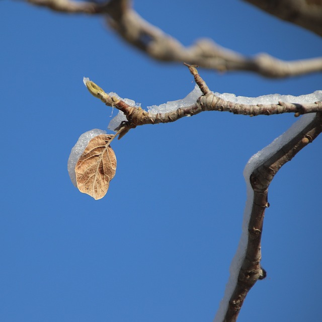 Christine Evans tweet media