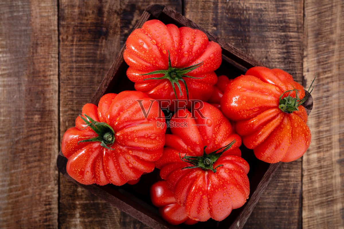 Sami Kugler tweet media