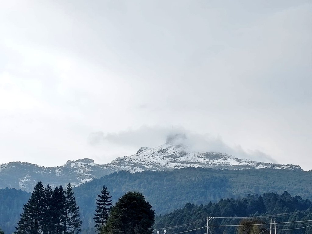 NoticiasPerote's tweet photo. ¡INCREÍBLE!😱❄️ Frente frío pinta de blanco a el #CofreDePerote.🥶
4ta nevada de la temporada invernal. #Perote #Veracruz https://t.co/DnbZXNuGmQ