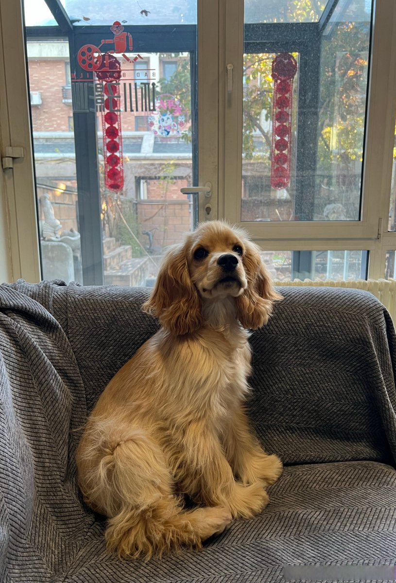 stamatis tweet media