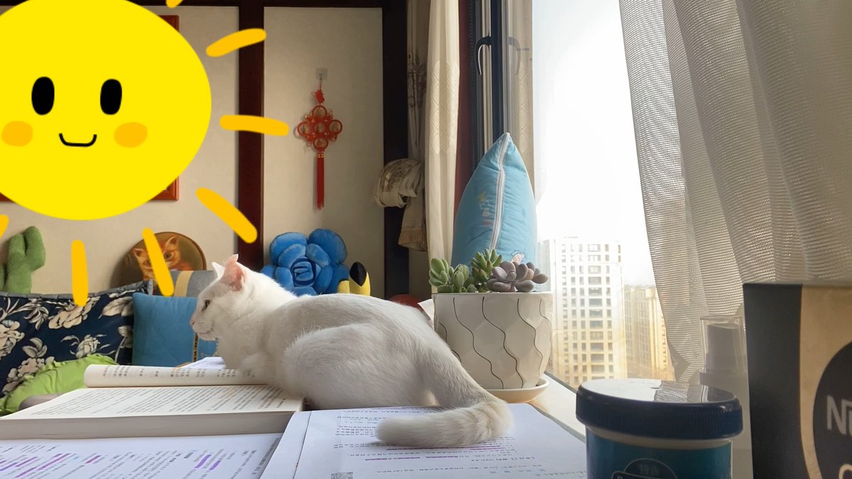 Stephanie White tweet media