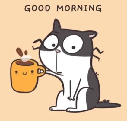 PᐃVEL.eth🍌 tweet media