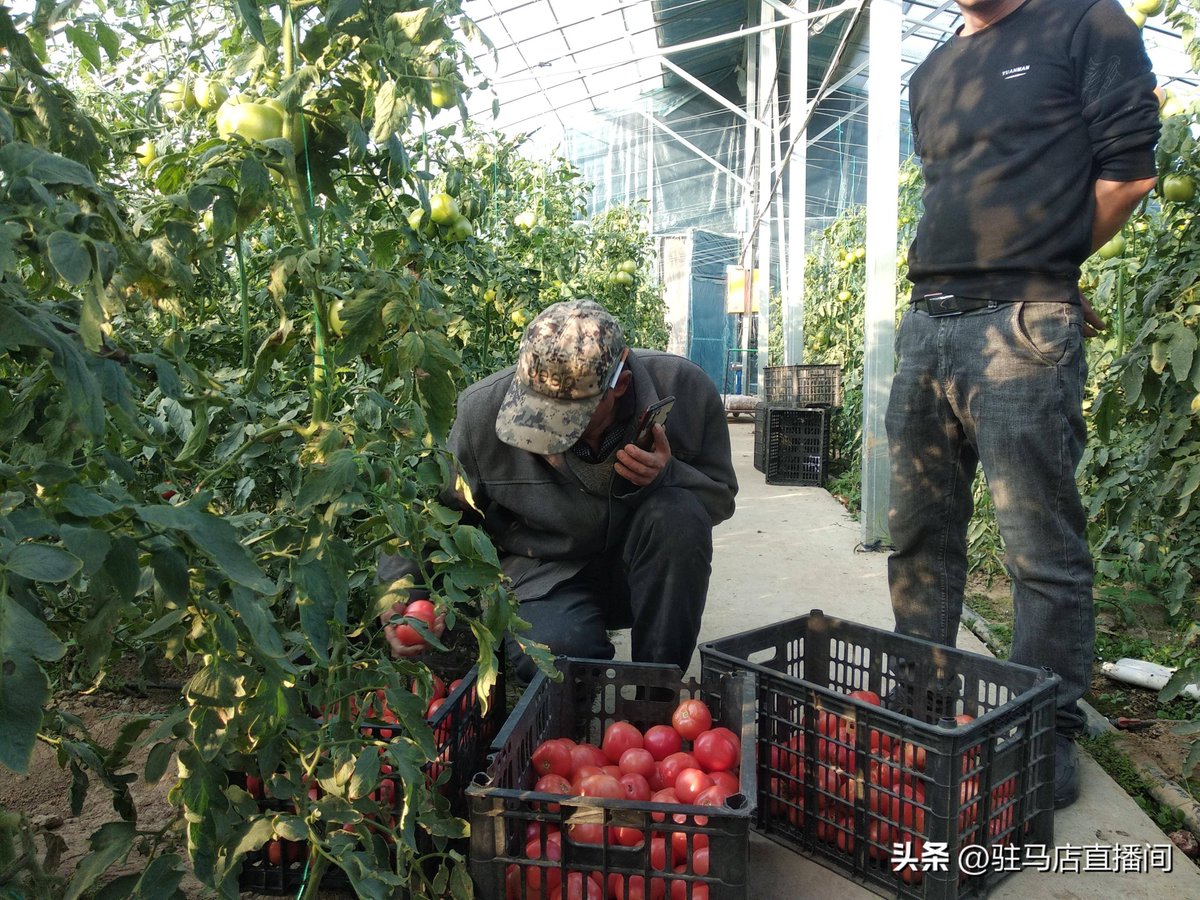 raj sharma tweet media