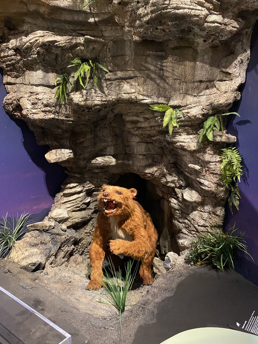 InvertMouse tweet media