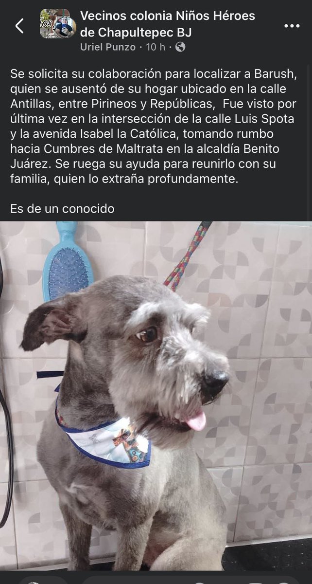 Col. Independencia ABJ (@colindependenc1) on Twitter photo 