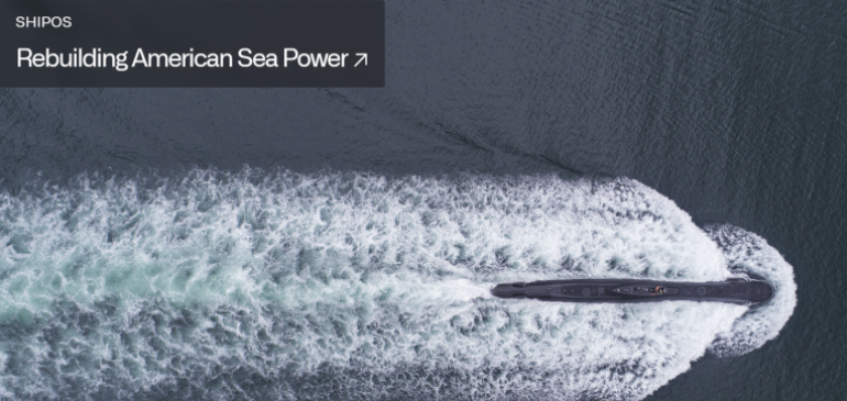 김티거 tweet media