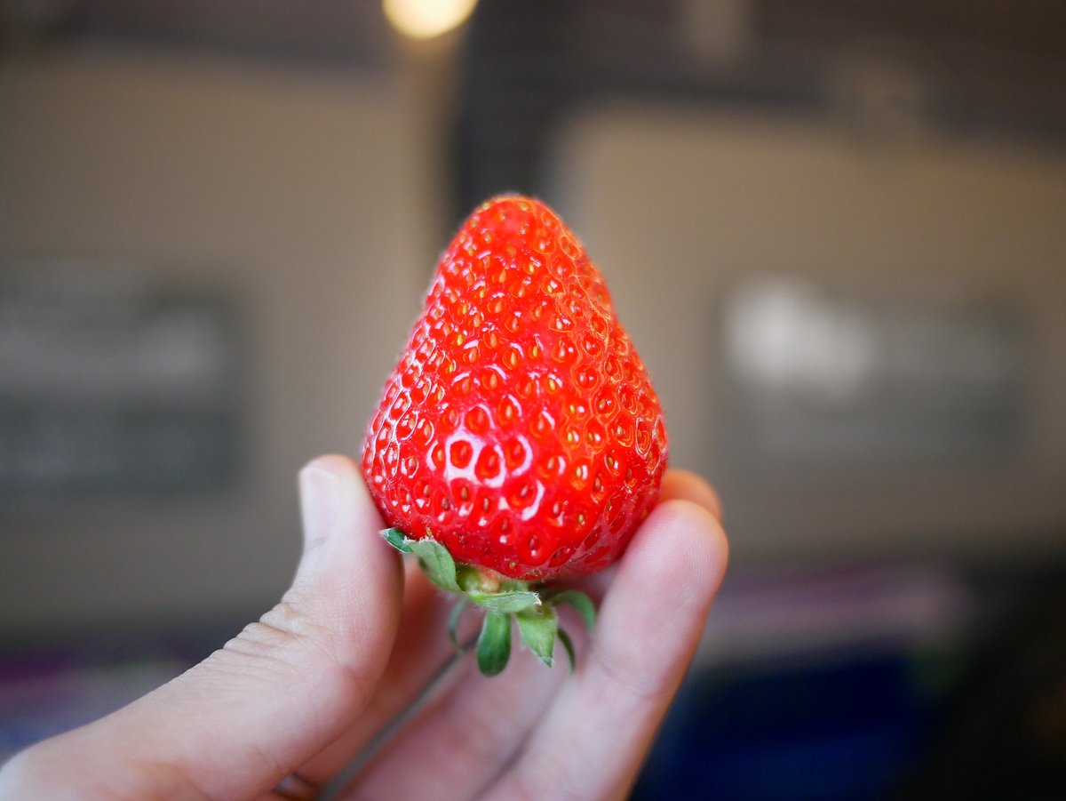 Peter  Doyle tweet media