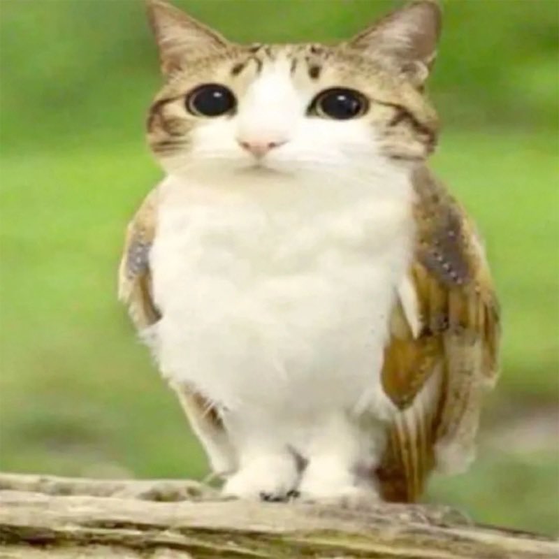 ProfitsIntern tweet media