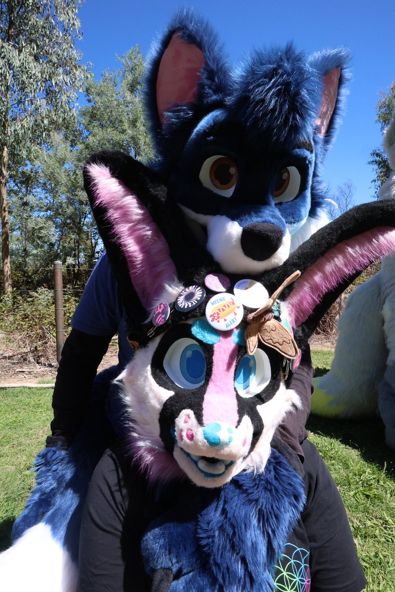 cotton 🪼🔜 FurDU tweet media