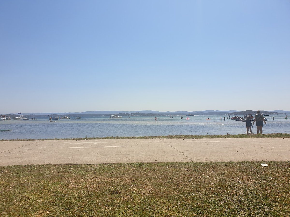 Lee Penkman tweet media