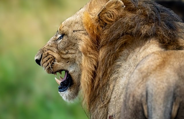 ลงเพื่อความบันเทิง tweet media